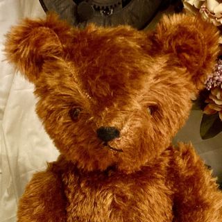 19” ANTIQUE 1920s RARE GUND CINNAMON MOHAIR TEDDY BEAR IN 2