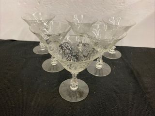 6 Cambridge Crystal Etched Wildflower Low Sherbets 4 3/4” Tall.