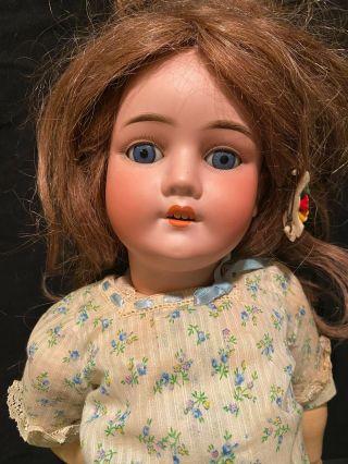 Bisque Doll - - Kley & Hahn Walkure 250 - - 25 " - - - Estate Of The Late Madame X Of Texas