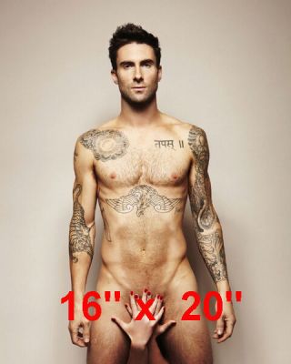 Maroon 5 Adam Levine Poster Music Photo 16 " X 20 "