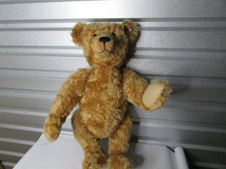 Rare Vintage Steiff Teddy Bear Maximilian Limited Edition