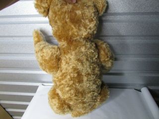 Rare Vintage Steiff Teddy Bear Maximilian Limited Edition 6