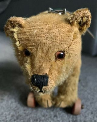 Early 8” Antique Steiff Teddy Bear Pull Toy Wooden Wheels Mohair Long F Button