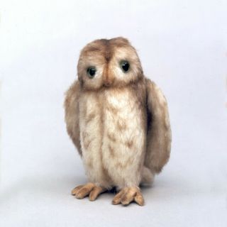 Lm R.  John Wright Winnie The Pooh Pocket Owl Mohair Limited Edition Plush Doll