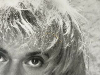 DAVID LEE ROTH ‘SKYSCRAPER’ 1988 PRESS KIT - - PHOTO 2