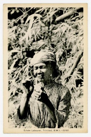 Trinidad & Tobago 1930 Peco Postcard - Estate Worker Smoking Pipe