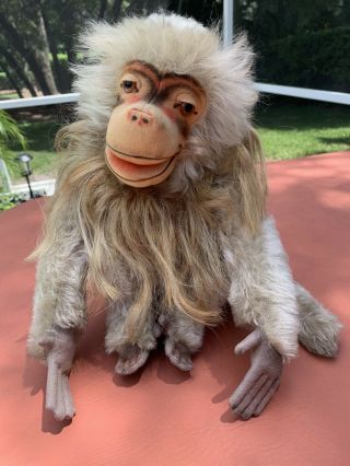 Rare Early 1950’s Steiff Pavian Baboon Coco With Red Letter Tag And Us Zone Tag