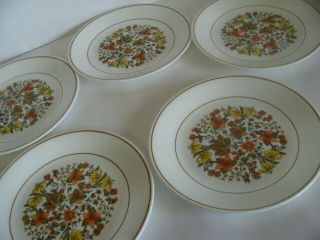 Vintage Corelle Corning Indian Summer Set Of 5 Luncheon Plates 8 1/2 "