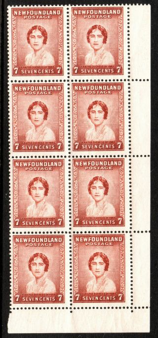 Newfoundland 1932 - 38 Sg226 7c.  Red - Brown Mnh Blk Of 8 Stamps