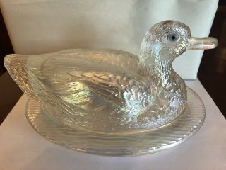 Carnival Glass Iridescent Clear Westmoreland Duck Covered Candy Dish,