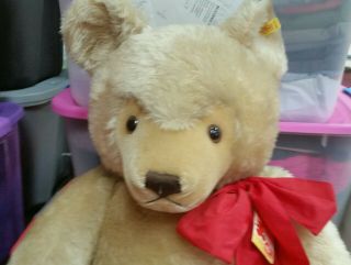 Rare Huge,  0201/75 Steiff Mohair Teddy Bear,  30 Inches,  Circa 1983