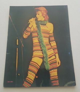 David Bowie 1973 Card Pin Up David Jenkins 8.  5 " X 11 " Promo