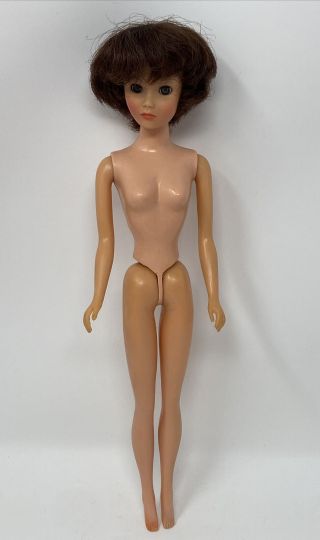 Rare 1962 Uneeda Barbie Clone Doll Miss Suzette Friend Wendy Ward ? Sleep Eyes