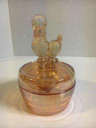 Vintage Jeanette Glass Poodle Powder Jar With Lid Amber Depression Glass