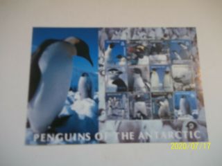 British Antarctic Territory C1 - Penguins Of The Antarctic - Mnh Sheet