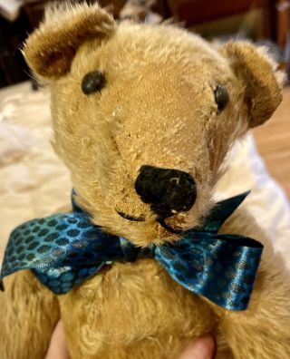 Rare 15” C1907 Mohair Fully Jointed Teddy Bear Likely Ideal