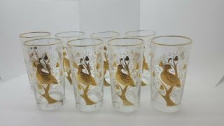Vintage Set Of 8 Libbey Partridge In A Pear Tree Christmas Gold Rim Glasses