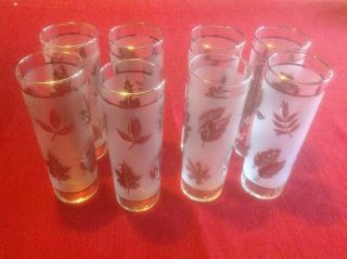 8 Vintage Libbey Silver Leaf Frosted Drinking 12 Ounce Glasses 7 " Tall Euc
