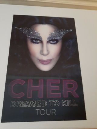 Cher Dressed To Kill Tour 2014 3d Hologram Photo Board 11 " X 17 "