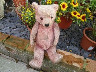 An Antique Vintage 5 Way Jointed Chiltern Pink Teddy Bear.