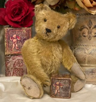 13” Antique German Teddy Bear With Gold Mohair,  Excelsior Stuffed
