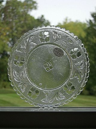Eapg Antique Flint Lacy Glass Cup Plate 3 - 7/16 " Lr - 229 - B Scarce