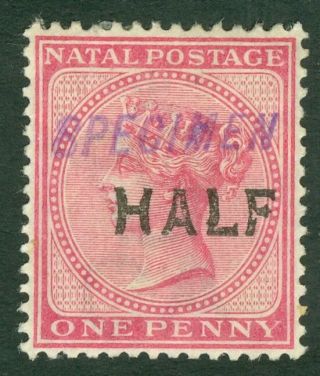 Sg 125s Natal 1895.  ½d On 1d Rose,  Overprinted Specimen In Violet.  Mounted