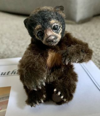 One Of A Kind Hand Sculpted Real Life Miniature Baby Sun Bear Cub By Angelique