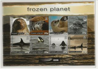 British Antarctic Territory (bat) Sc 428 - 9 Mnh 2s/s Of 2011 - Animals/penguins