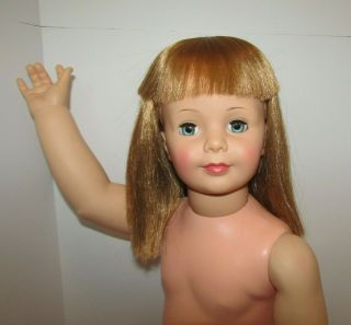 Vintage Doll Ideal Patti Playpal Blonde Hair 35” – 36” 1959 - 1960s Stands Poses