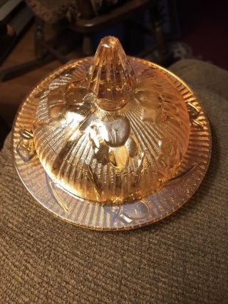 Vintage Jeannette Iridescent Iris Butter Dish And Cover