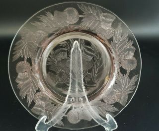 Vintage Macbeth - Evans Pink Depression Glass Thistle 8 " Luncheon Plate Set Of 5