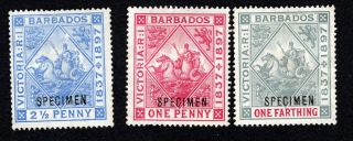 Barbados 1897 Diamond Jubilee Specimen Stamps (672)