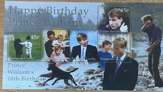 2000 18th Birthday Of Prince William Mnh Miniature Sheet From Tristan Da Cunha