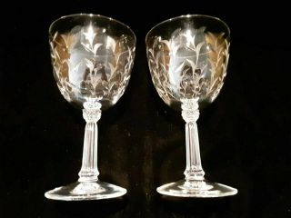Lovely Vintage Fostoria Glass " Sprite " Cut Water Goblets