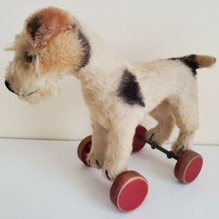 Antique Steiff Dog On Wheels C1940 