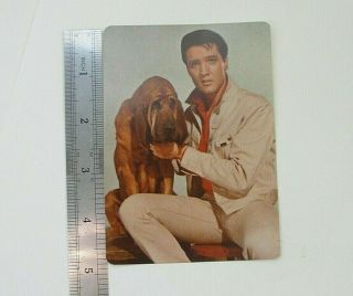Color Photo ELVIS with Basset 