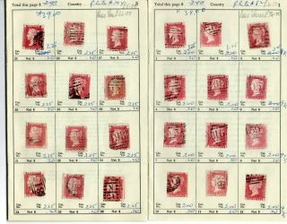 GB QV 1858 1d Penny Red PLATES x 192 stamps on 16 old approval pages SG43/44 2