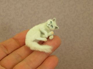 Ooak Dollhouse Miniature Cat 1:12 Scale Realistic Handmade Igma Artisan Parrott