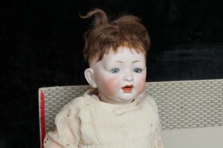 Antique Louis Wolf 15 " 152 - Box - Bisque Character Baby -