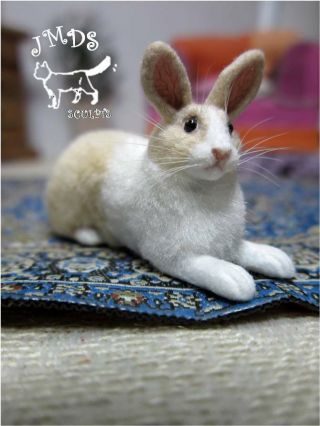 Ooak Dollhouse Miniature Handmade Dutch Rabbit,  Cat Realistic 1:12 By Jmds