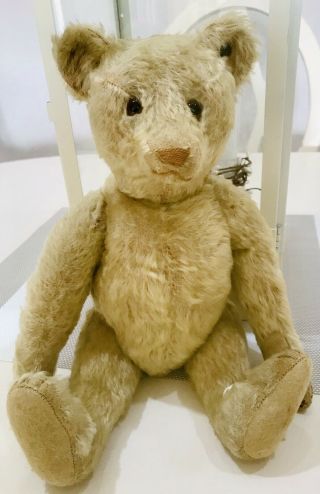 Antique 1900’s Steiff Teddy Bear Doll Light Cinnomon Mohair