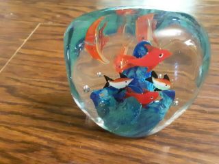 Murano Hand Blown Fish Bowl Aquarium Art Glass Paperweight
