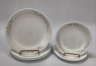 Set Of 8 Corelle Corning Apricot Grove White 3 Bread & 5 Salad/lunch Plates Aa