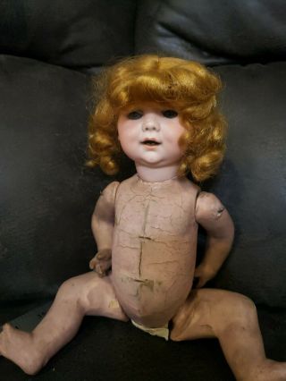 Antique 12 Inch Doll - Composition Body - Bisque Head - Brand D.  R.  G.  M 259