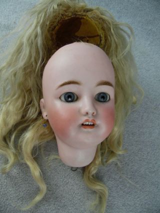 Antique Bisque German Cm Bergmann Simon & Halbig Doll Head W Mohair Wig No Body