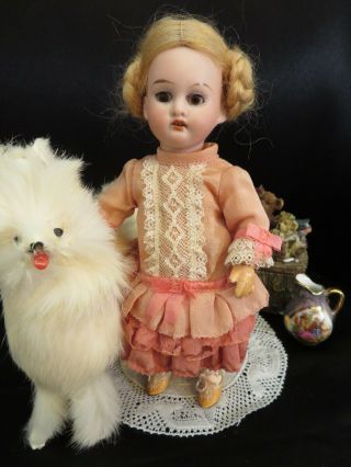 Adorable 7 1/2 " Antique Bisque Head Doll 1894 Am/0 Dep