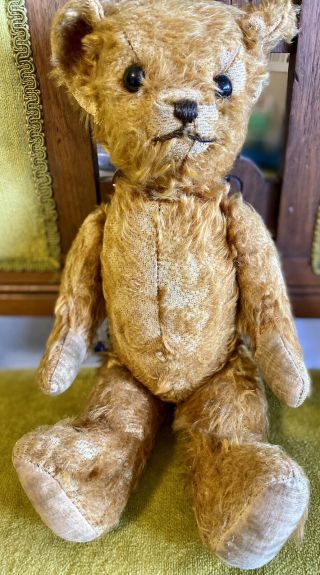 15” Antique C1920 German Mohair Teddy Bear W/hump And Glass Eyes