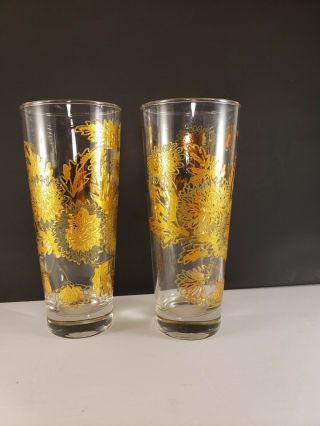 Vintage Mid Century High Ball Glasses Bartlett Collins Gold Chrysanthemum Pair
