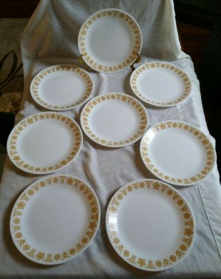 8 Vintage Corelle Corning Butterfly Gold 10 1/4 " Dinner Plates Vgc